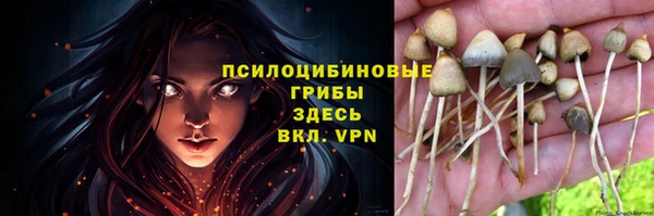 прущие крисы Алзамай