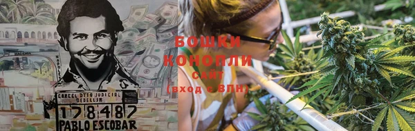 ГАЛЛЮЦИНОГЕННЫЕ ГРИБЫ Арсеньев