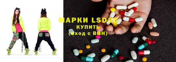 ГАЛЛЮЦИНОГЕННЫЕ ГРИБЫ Арсеньев